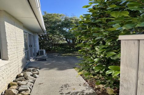 Photo of property in 8 Callender Terrace, Paraparaumu Beach, Paraparaumu, 5032