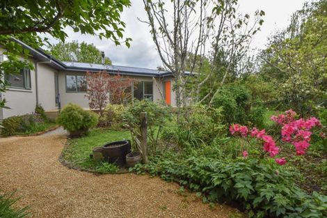 Photo of property in 14a Lincoln Road, Carterton, 5713