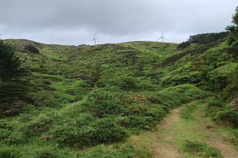 Photo of property in 741 Makara Road, Makara, Wellington, 6972