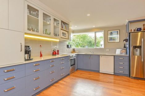 Photo of property in 38b Mcmaster Street, Greytown, 5712