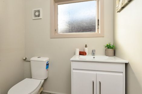 Photo of property in 217 Fox Street, Hamilton East, Hamilton, 3216