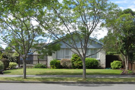 Photo of property in 12 Daytona Place, Parklands, Christchurch, 8083