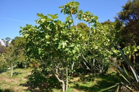 Photo of property in 107 South Terrace Road, Karamea, 7893