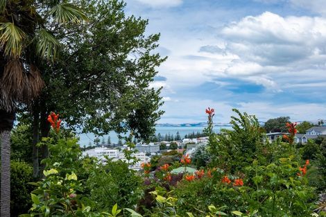 Photo of property in 11 Corry Avenue, Bluff Hill, Napier, 4110