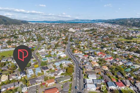 Photo of property in 17 Lincoln Avenue, Epuni, Lower Hutt, 5011