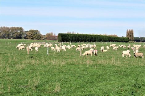 Photo of property in 39 Gap Road West, Winton, 9781