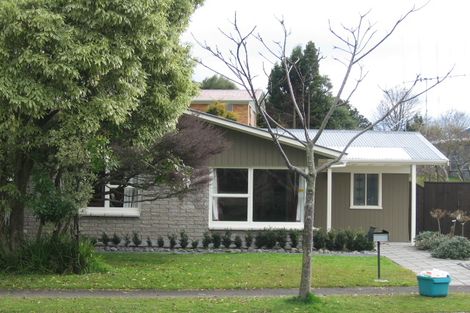 Photo of property in 18 Hazelwood Avenue, Dinsdale, Hamilton, 3204