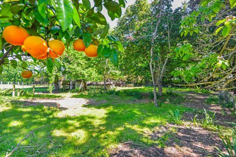 Photo of property in 1458 Southland Road, Longlands, Hastings, 4120