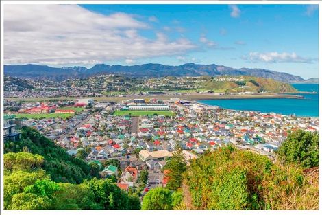 Photo of property in 41 Sutherland Road, Melrose, Wellington, 6023