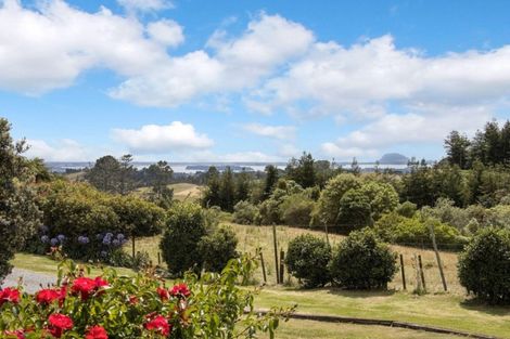 Photo of property in 649c Esdaile Road, Whakamarama, Tauranga, 3180
