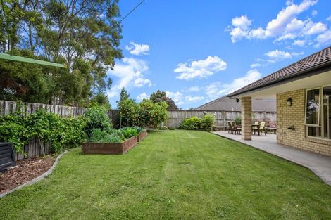 Photo of property in 61 Parkhaven Drive, Rosehill, Papakura, 2113