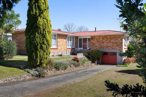 Photo of property in 16 Clothier Street, Putaruru, 3411