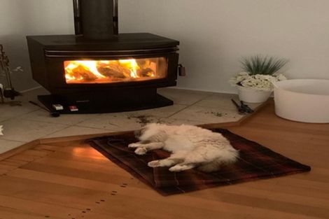 Photo of property in 93 The Bullock Track, Mahurangi West, Warkworth, 0983