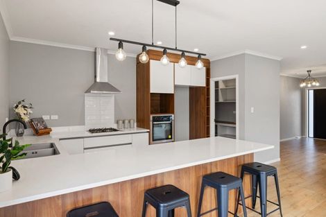 Photo of property in 16 Maggie Place, Chartwell, Hamilton, 3210