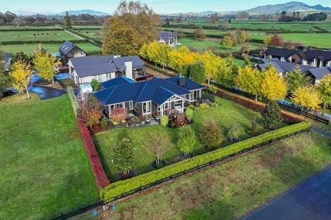 Photo of property in 4 Danehill Close, Matamata, 3400