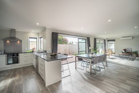 Photo of property in 227b Botanical Road, Takaro, Palmerston North, 4412