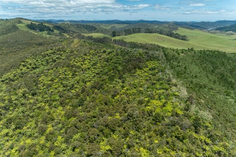 Photo of property in 362 Sawyer Road, Mangonui, 0494