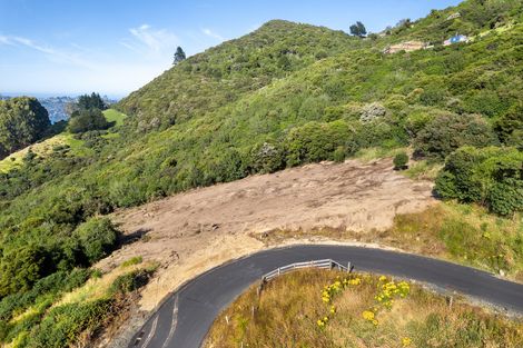 Photo of property in 65 Kakapo Street, Saint Leonards, Dunedin, 9022