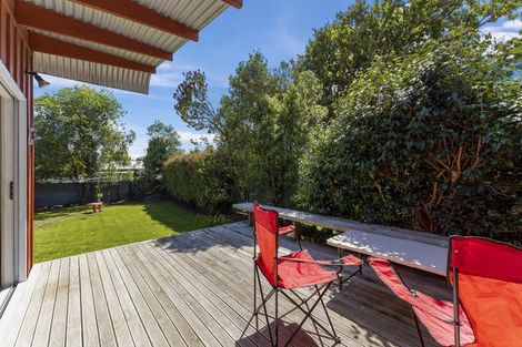 Photo of property in 33 Andrew Avenue, Roslyn, Palmerston North, 4414