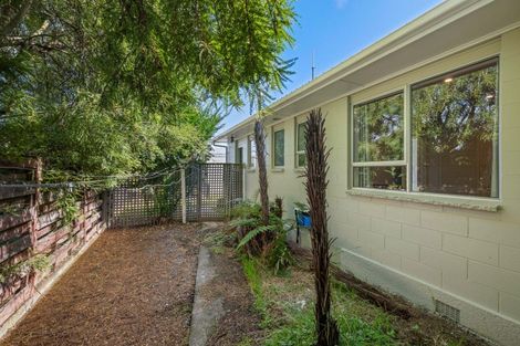 Photo of property in 3/36 Leefield Street, Blenheim, 7201