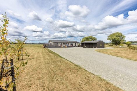 Photo of property in 1 Elm Place, Waipukurau, 4284
