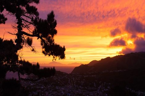 Photo of property in 62a Buckley Road, Southgate, Wellington, 6023