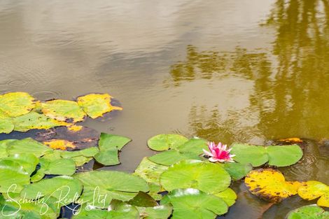 Photo of property in 16 Nikau Lane, Maungaturoto, 0520