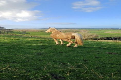 Photo of property in 238 Te Arai Point Road, Te Arai, Wellsford, 0975