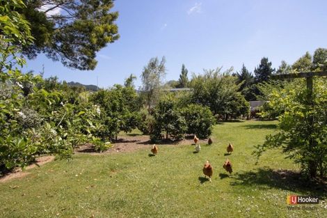 Photo of property in 1 Kitchener Street, Waihi, 3610