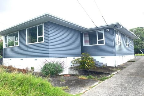 Photo of property in 60 Webster Avenue, Mount Roskill, Auckland, 1041