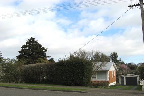 Photo of property in 217 Cambridge Street, Levin, 5510