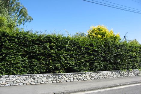 Photo of property in 44 Cox Street, Merivale, Christchurch, 8014