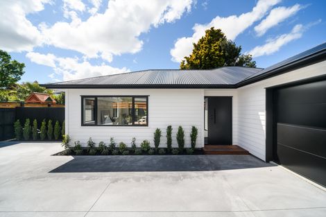 Photo of property in 469a Ruahine Street, Terrace End, Palmerston North, 4410