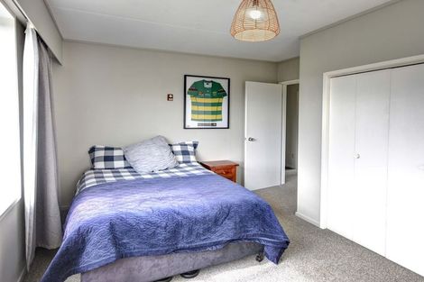 Photo of property in 33 Elliffe Place, Shiel Hill, Dunedin, 9013