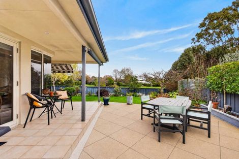 Photo of property in 8 Phoenix Place, Havelock North, 4130