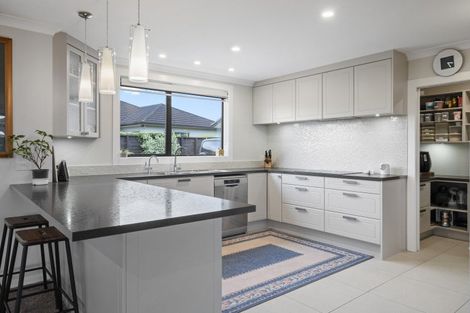 Photo of property in 22 William Andrew Road, Pukekohe, 2120