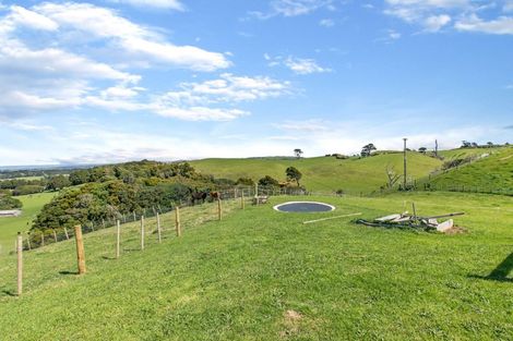 Photo of property in 301 Boiler Gully Road, Manukau Heads, Waiuku, 2684