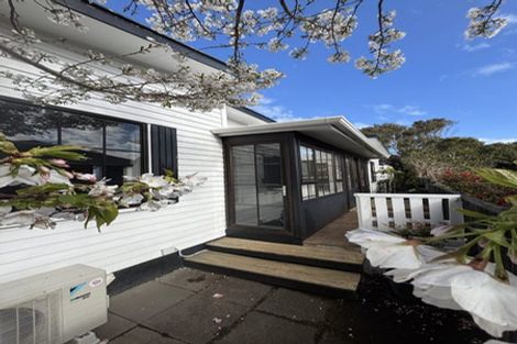 Photo of property in 44 Kings Crescent, Hutt Central, Lower Hutt, 5010