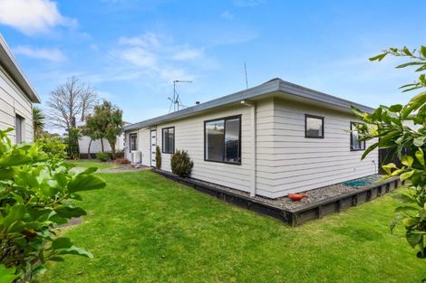 Photo of property in 16a Links Avenue, Mount Maunganui, 3116