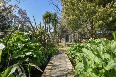 Photo of property in 14a Lincoln Road, Carterton, 5713