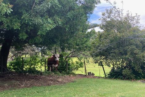 Photo of property in 2448 Far North Road, Waiharara, Kaitaia, 0484