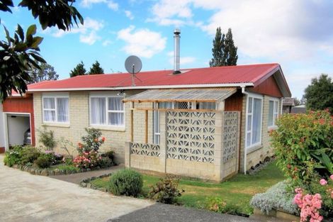 Photo of property in 16 Ries Street, Dannevirke, 4930