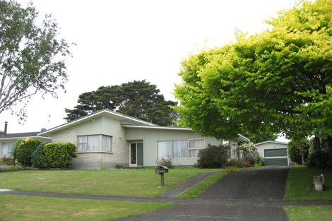 Photo of property in 8 Bledisloe Court, Pukekohe, 2120