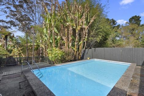 Photo of property in 29 Fitzroy Avenue, Fitzroy, Hamilton, 3206