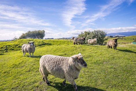 Photo of property in 21 Sandown Road, Te Horo Beach, Otaki, 5581