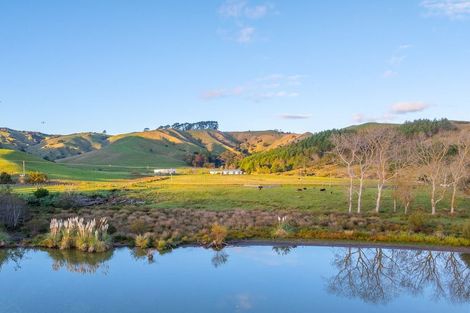 Photo of property in 601 Waikare Road, Waerenga, Te Kauwhata, 3781