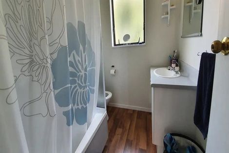 Photo of property in 22 Douglas Street, Levin, 5510