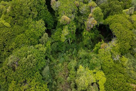 Photo of property in 69 Rimu Street, Waikanae, 5036