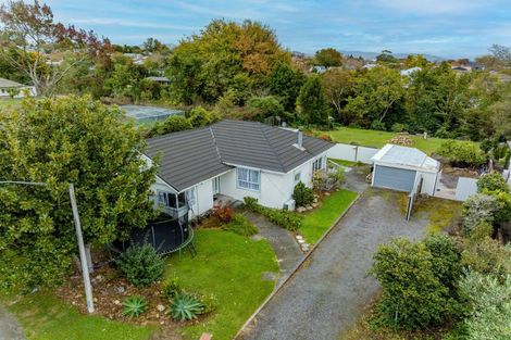 Photo of property in 4 Hillsbrook Place, Havelock North, 4130