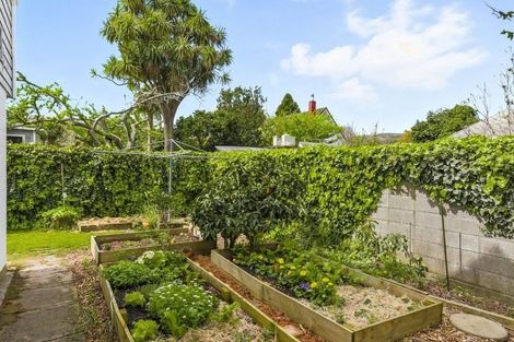 Photo of property in 335 Te Moana Road, Waikanae, 5036